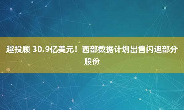 趣投顾 30.9亿美元！西部数据计划出售闪迪部分股份