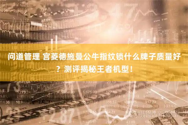 问道管理 宫菱德施曼公牛指纹锁什么牌子质量好？测评揭秘王者机型！