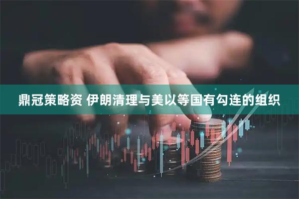 鼎冠策略资 伊朗清理与美以等国有勾连的组织