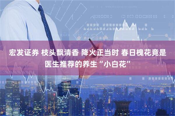 宏发证券 枝头飘清香 降火正当时 春日槐花竟是医生推荐的养生“小白花”