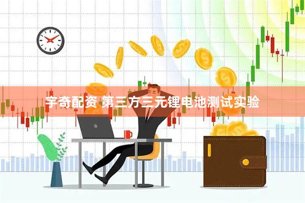 宇奇配资 第三方三元锂电池测试实验