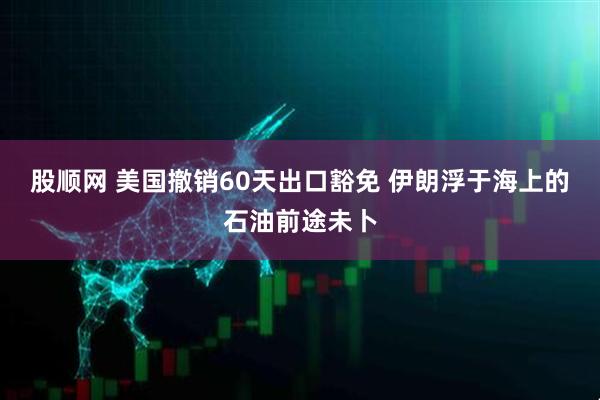 股顺网 美国撤销60天出口豁免 伊朗浮于海上的石油前途未卜